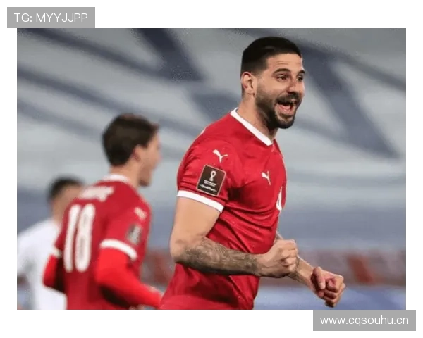 米特罗维奇进攻端优势 米特罗维奇进攻端优势